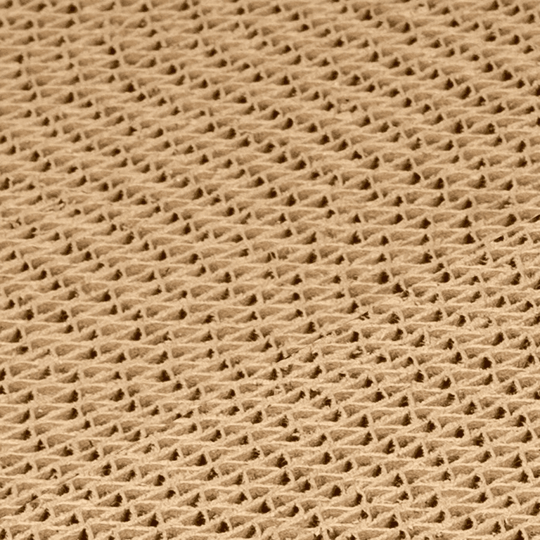 Cat Scratcher